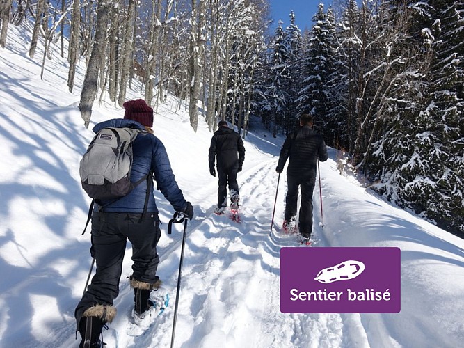 Boucle de Morsullaz - Winter hike_Mont-Saxonnex