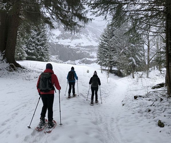 Boucle de Morsullaz - Winter hike_Mont-Saxonnex