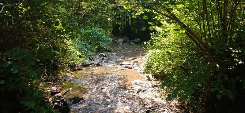 PromenadeCielle-MS Hody (7)