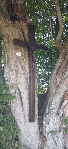 PromenadeCielle-MS Hody (19)