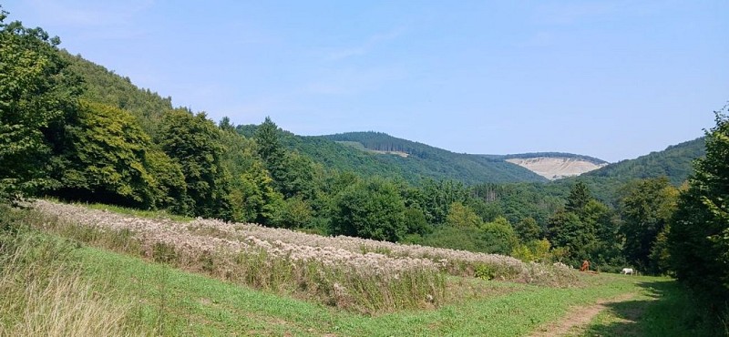 PromenadeCielle-MS Hody (12)