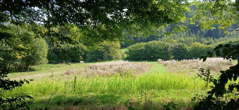 PromenadeCielle-MS Hody (10)