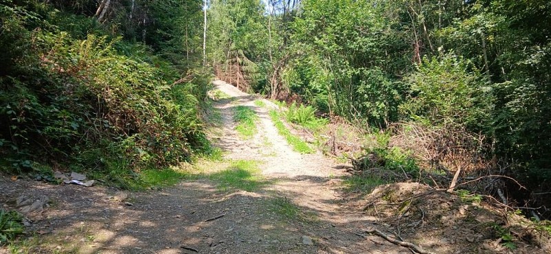 PromenadeCielle-MS Hody (8)