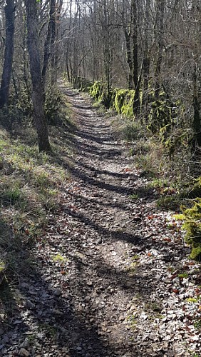 S2 Saint-Symphorien : Boucle d'Arxelme