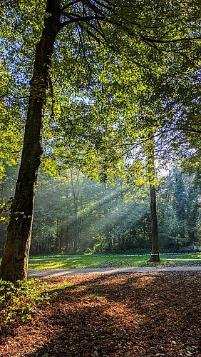 Parc d'Olhain