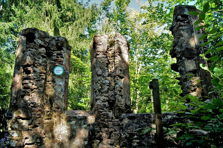 botanischer und poetischer Wanderweg am Seelberg