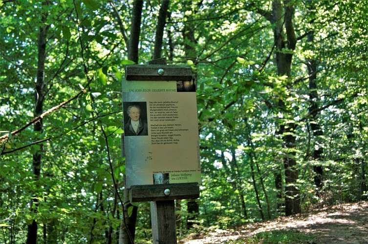 Botanical and poetic path of Seelberg