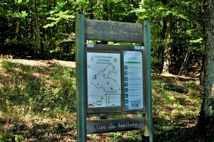 Botanical and poetic path of Seelberg