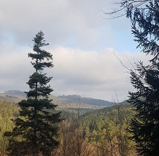 Vue sur le Hunebourg