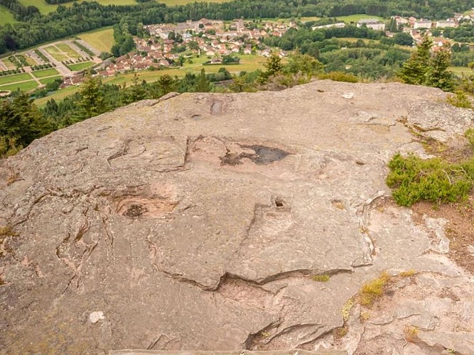 WANDERTOUR LA HAUTE PIERRE