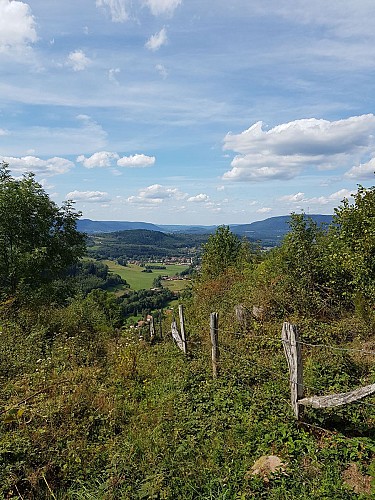 Circuit vtt : plateau de Sorémont