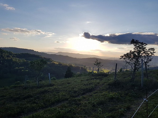 Circuit vtt : plateau de Sorémont