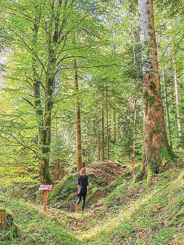 Circuit de mémoire de la Cote 766