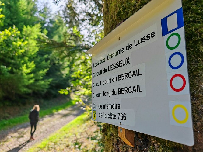 Circuit de mémoire de la Cote 766