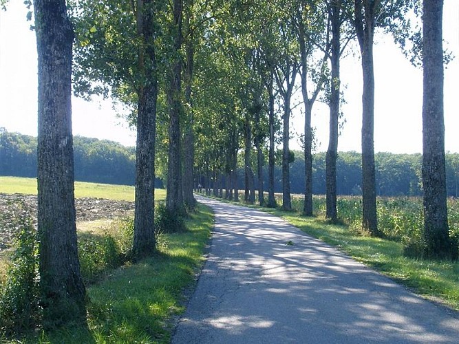 SPAZIERGANG DURCH SAINT-RÉMY-AUX-BOIS