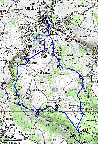 Wandeling - les balcons de corcieux -