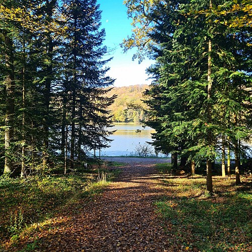 Sentier des Lacs de Contrexéville au Parc de Vittel - 6 km