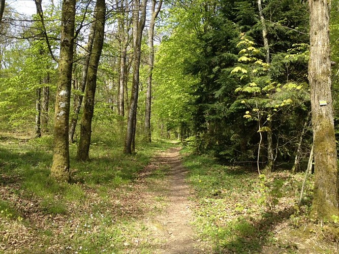 Circuit Pédestre 02 - Entre Lacs - 11.2 km