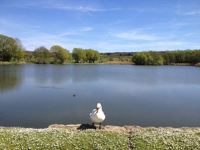 Circuit Pédestre 02 - Entre Lacs - 11.2 km
