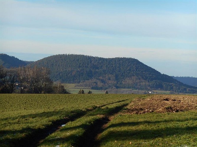 WANDELING - LA FOLIE - LA CROIX DE L'ORMEAU - A2