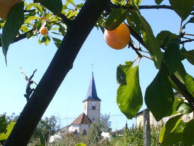 SPAZIERGANG DURCH ROZELIEURES