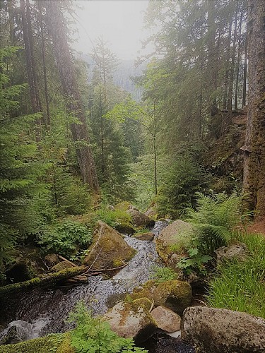 Circuit pédestre - Cascade du Rudlin - Gazon du Faing
