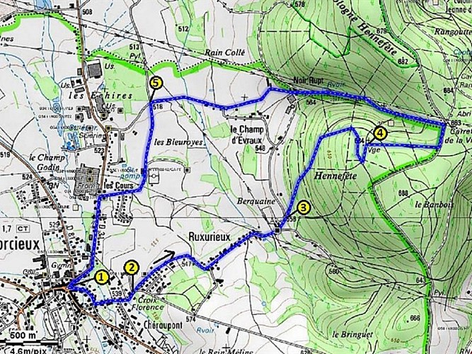 WANDELING - LA VIERGE DE HENNEFETE - LE CHAMP D'EVRAUX - B3