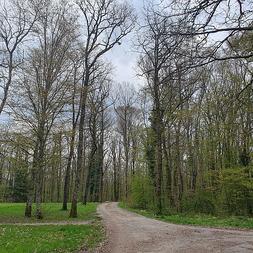 Circuit pédestre 10 le parc thermal - 6.2 km