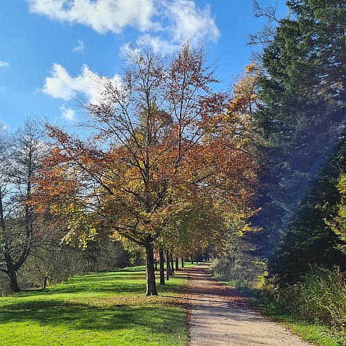 Circuit Pédestre 07 -  L'Anger - 16.5 km