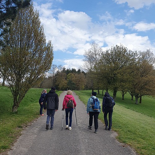 Circuit pédestre 11 les golfs - 7.4 km