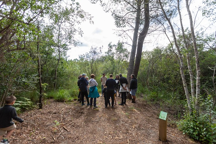 sortie-nature-lagune-hounaou-bisca