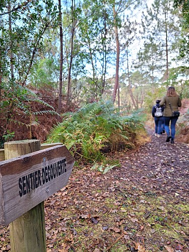 Sentier découverte Hournaou