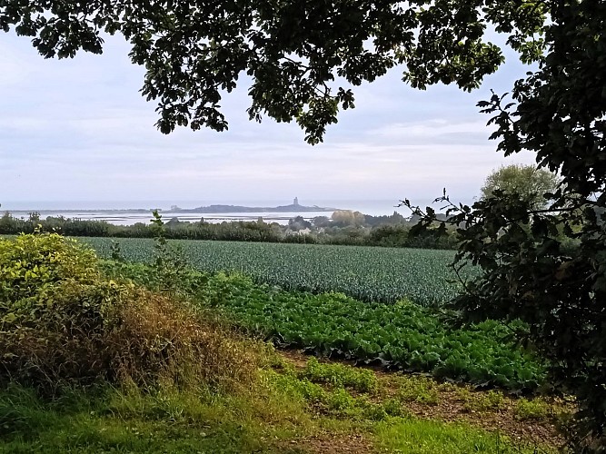 Des sources à la mer