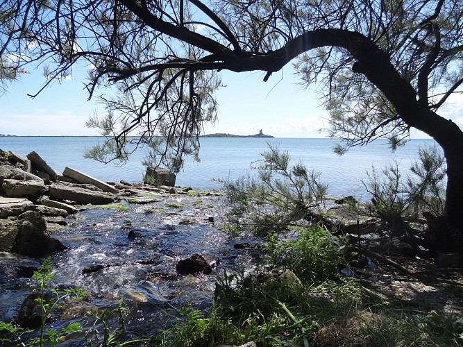 Des sources à la mer