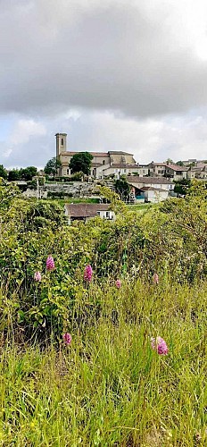 Vue sur le village et orchidées sauvages