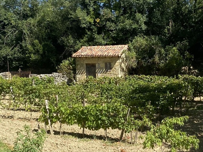 Cabane de vigne