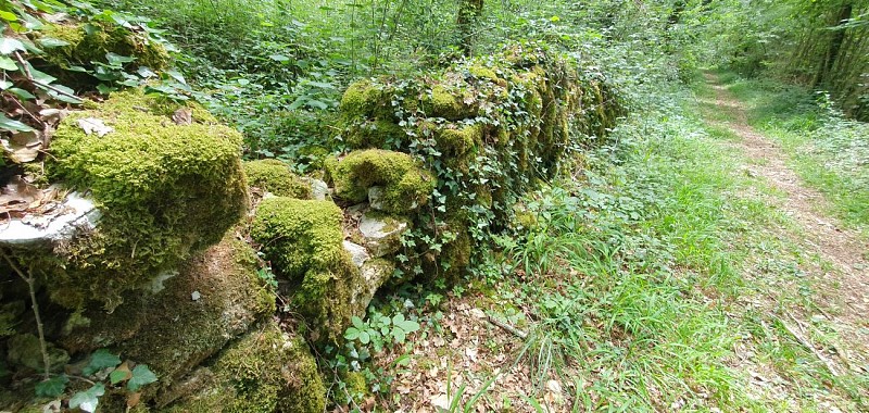 Balade - Réserve Naturelle de la grotte de Hautecourt