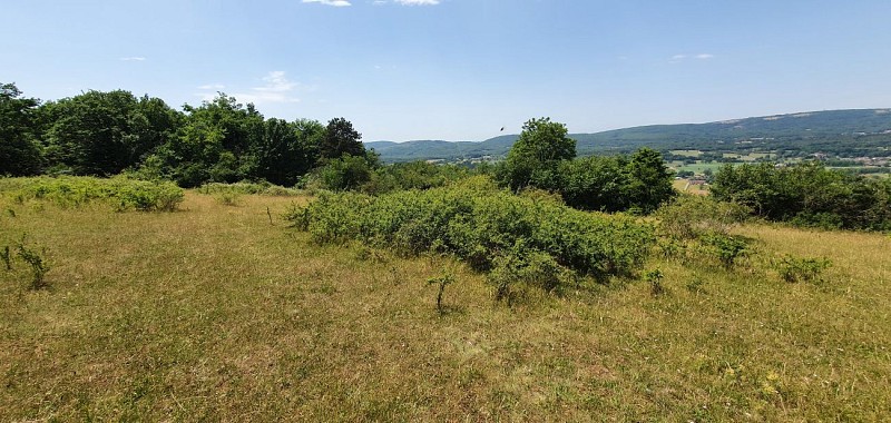 Balade - Réserve Naturelle de la grotte de Hautecourt