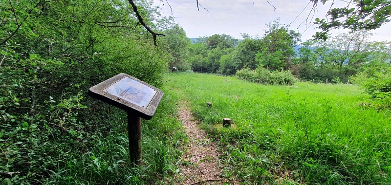 Réserve Naturelle de la grotte de Hautecourt