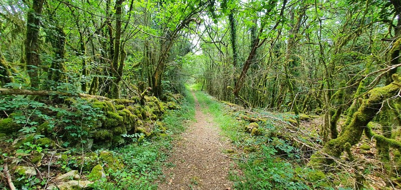 Réserve Naturelle de la grotte de Hautecourt_Hautecourt-Romanèche