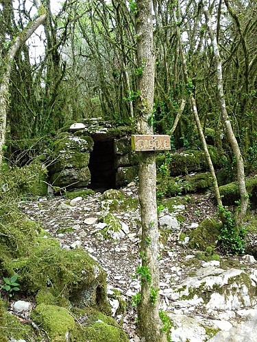 Rocher du Jarbonnet - Prairie de la rivière d'Ain_Cize