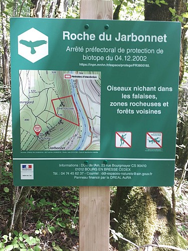 Rocher du Jarbonnet - Prairie de la rivière d'Ain_Cize