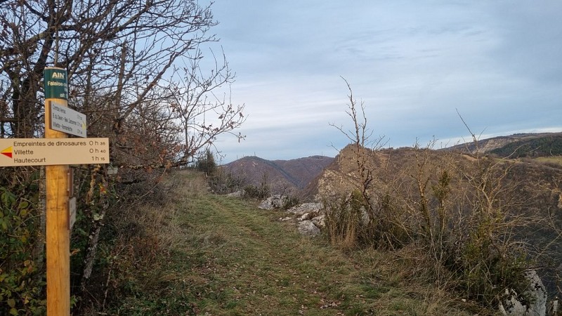 Les chemins des dinosaures de Villette - Balade géologique sur les falaises de Bérranger_Hautecourt-Romanèche