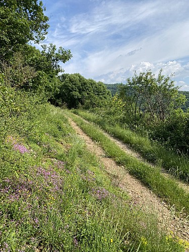 Hike: Montagne de Saint-Benoit_Groslée-Saint-Benoit