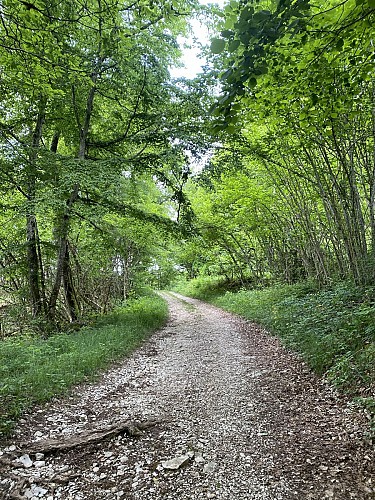 Circuit de randonnée pédestre : La Montagne de Saint-Benoit_Groslée-Saint-Benoit