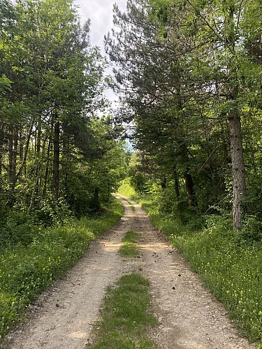 Circuit de randonnée pédestre : La Montagne de Saint-Benoit_Groslée-Saint-Benoit