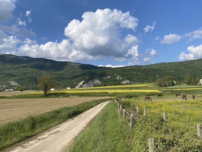Hiking in Bugey : Le tour de Groslée_Groslée-Saint-Benoit