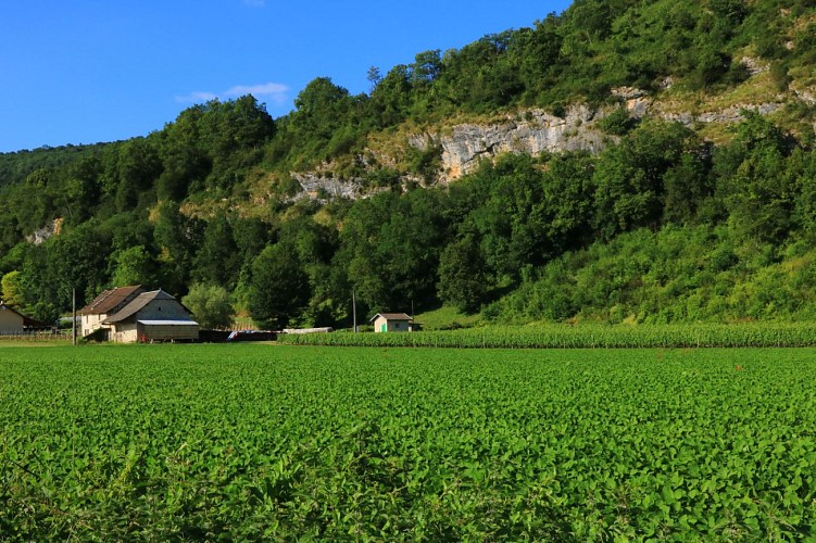 Randonnée : le tour de Groslée