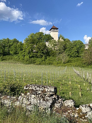 Circuit de randonnée pédestre : Le tour de Groslée_Groslée-Saint-Benoit