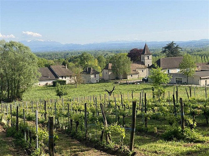 Circuit de randonnée pédestre : Le tour de Groslée_Groslée-Saint-Benoit